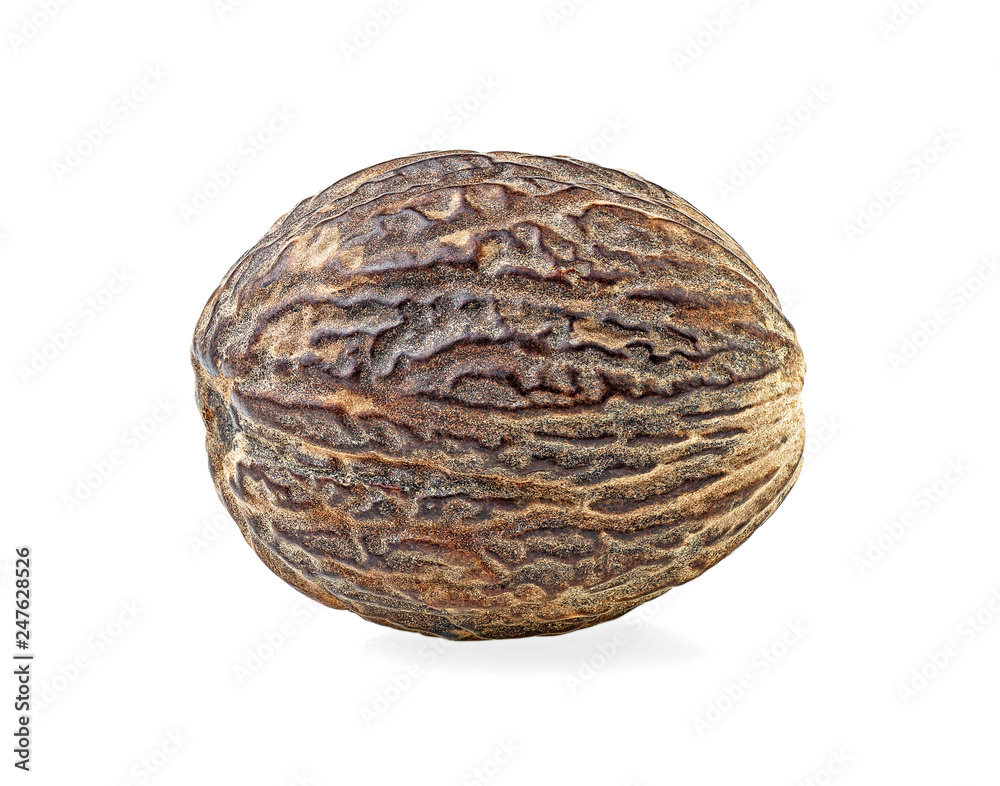 One nutmeg isolated on a white background One nutmeg isolated on a white background