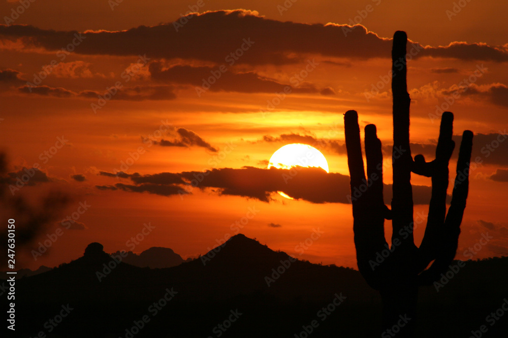 Arizona Sunset 1