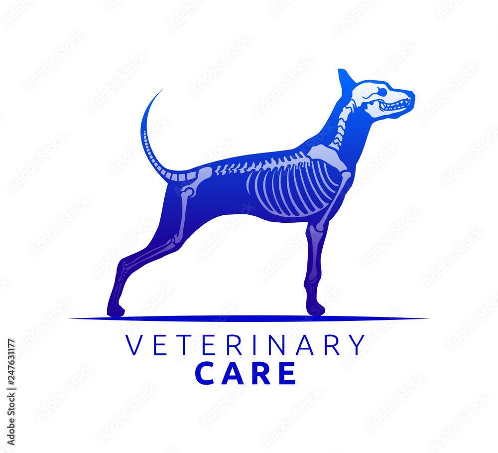 Fototapeta premium Veterinary Care Emblem Design, Bone Scan Dog Care vector illustration