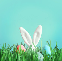Easter funny bunny on green grass with easter eggs.