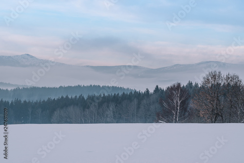 Bayerischer Wald national park in Germany © Peter Kalmar