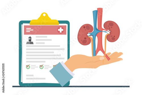 Kidney transplantation. The concept of donating an internal organ for transplantation. Human organ for transplantation. Vector illustration.