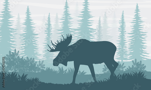 Silhouette. Elk with big horns on the background of Canadian fir trees. The nature of Canada, USA, Scandinavia and Europe. Realistic vector landscape.