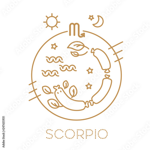 Scorpio vector signs of the zodiac in circles of golden color on a background. Astrological forecast, horoscope for a single sign. Logo, tattoo or illustration. 