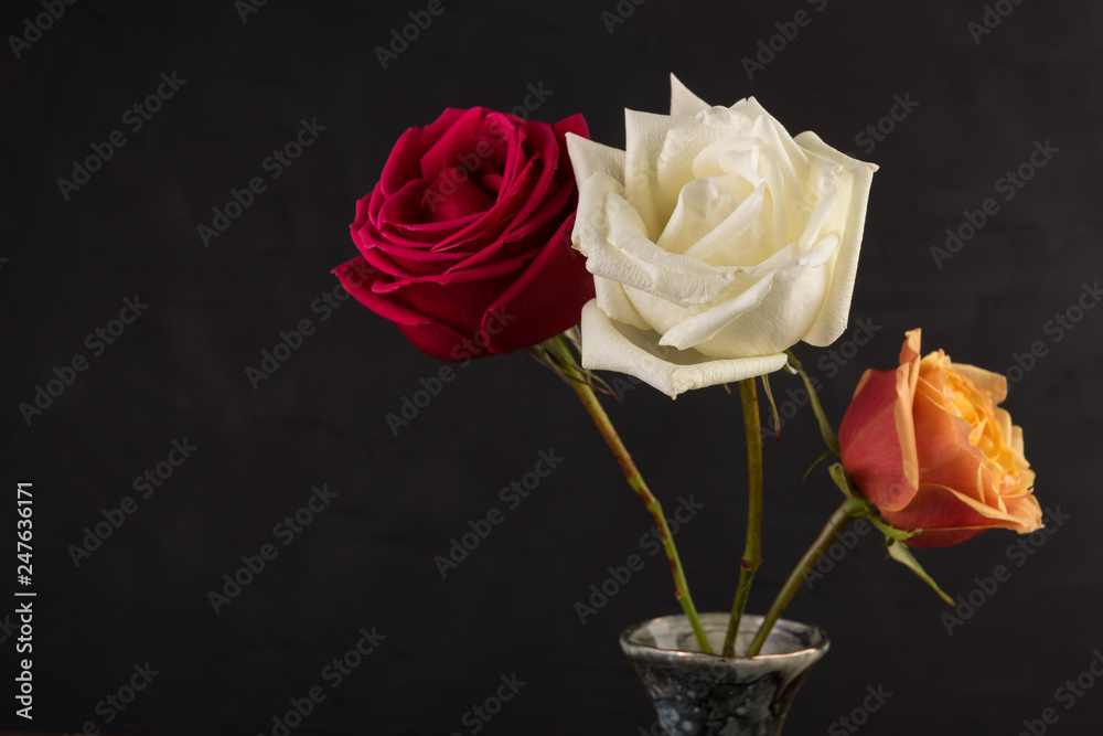 Fototapeta premium Three roses closeup image in small marble vase on black background