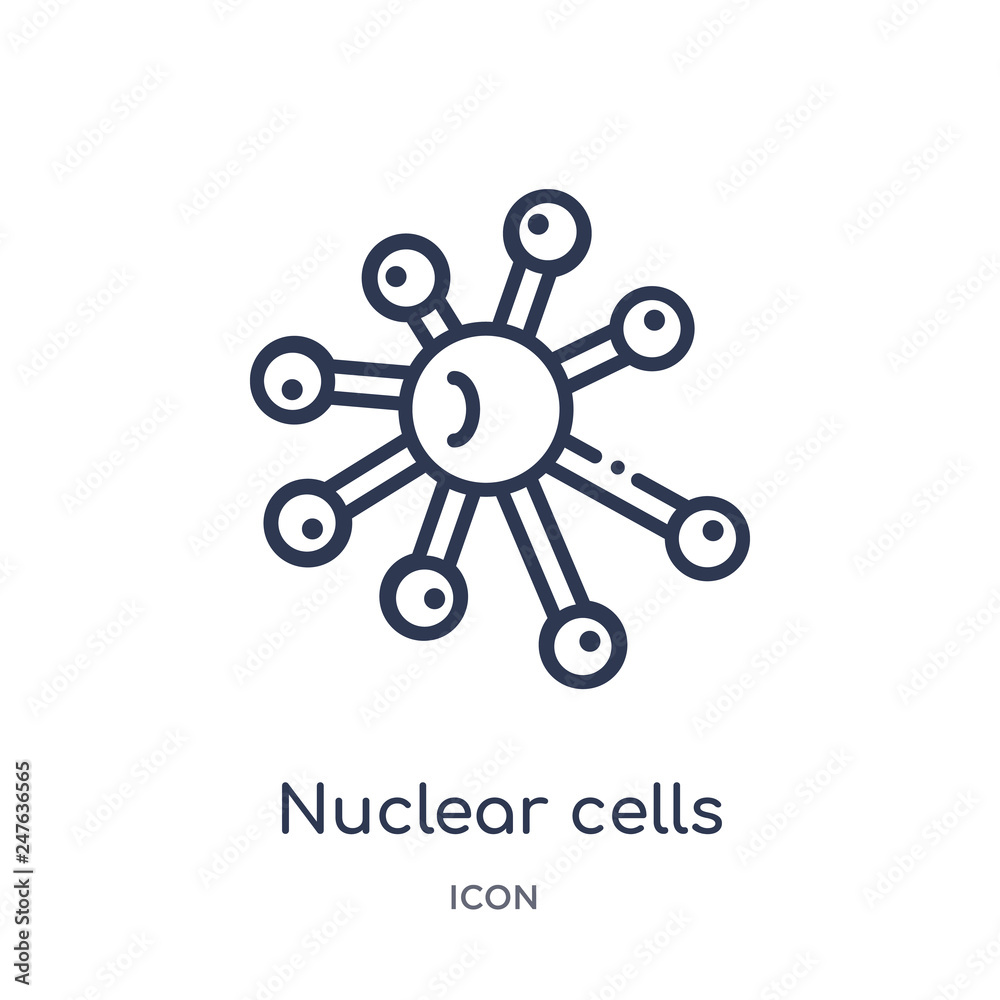 nuclear cells icon from user interface outline collection. Thin line nuclear cells icon isolated on white background. nuclear cells icon from user interface outline collection. Thin line nuclear cells icon isolated on white background.