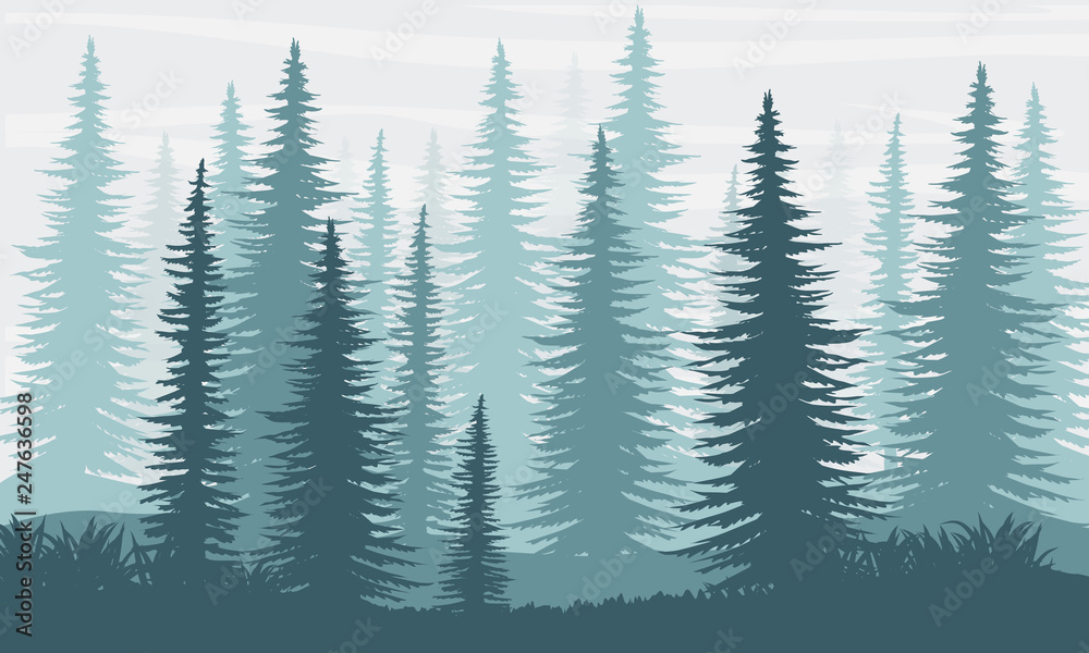 Silhouette. Spruce forest. The nature of Canada, USA, Scandinavia and Europe. Realistic Vector Landscape