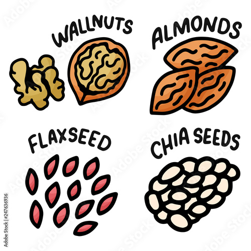 Hand drawn nuts doodle for wallpaper design. White background. Nature logo collection. Line art Diet healthy food.