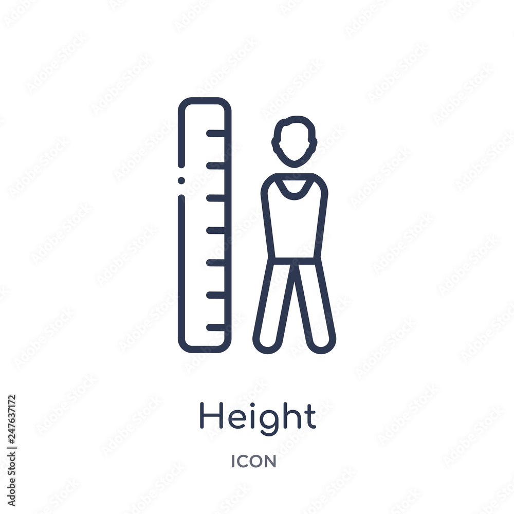 height icon from user interface outline collection. Thin line height icon isolated on white background. height icon from user interface outline collection. Thin line height icon isolated on white background.