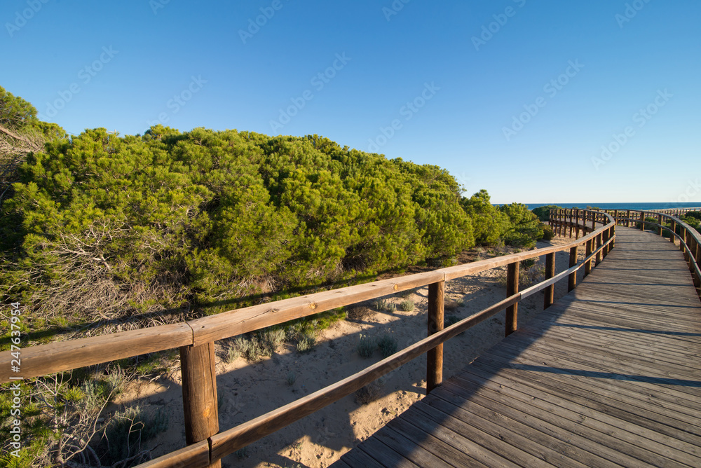 Walkway to the beach Walkway to the beach