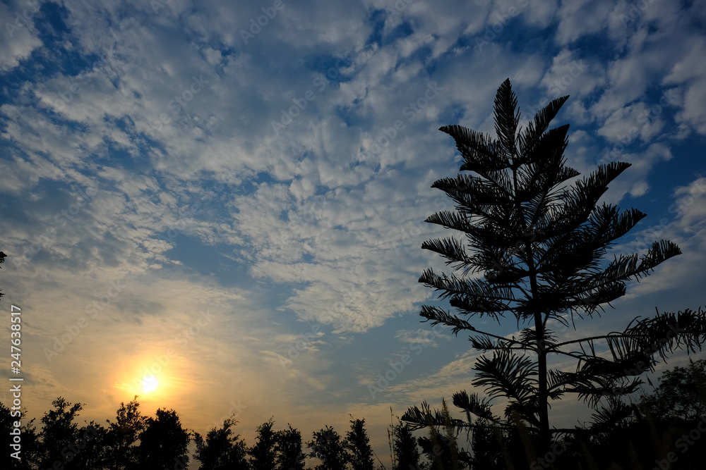 Before Sunset Before Sunset