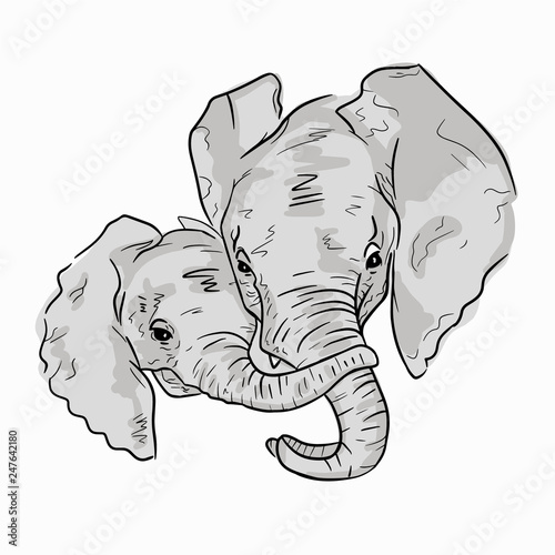 Cute illustration of elephant family on white background. Sketch of elephant mother with child.