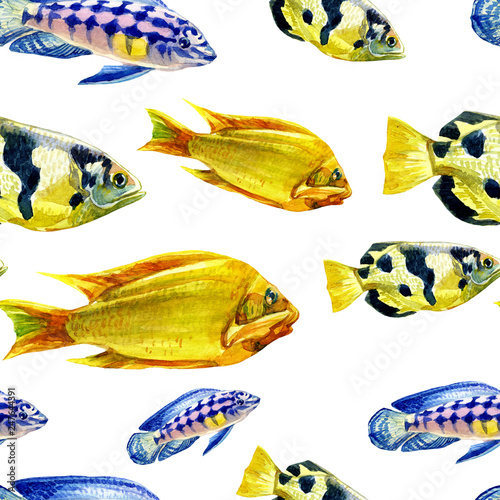 Seamless patterns with tropical fish