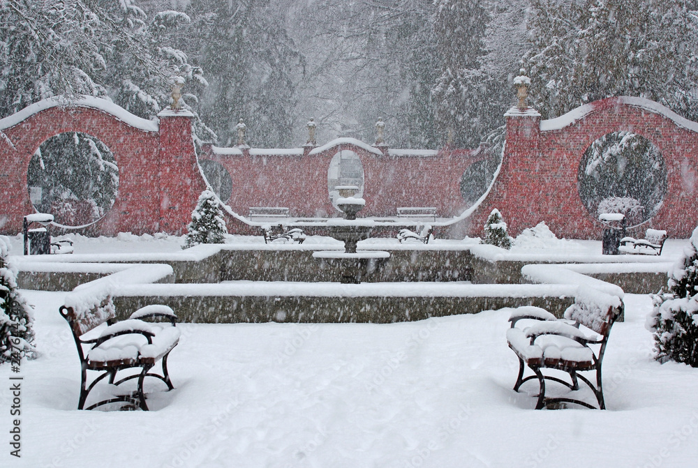 Fototapeta premium Śnieżyca w parku.
