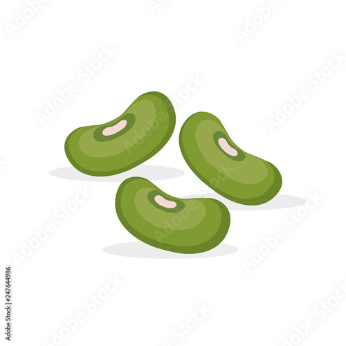 Chickpea, Mung or Green beans ivector flat icon photo