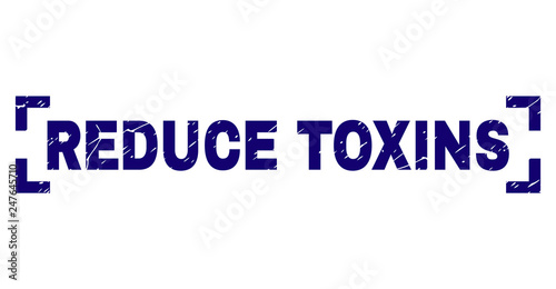 REDUCE TOXINS caption seal imprint with distress texture. Text caption is placed between corners. Blue vector rubber print of REDUCE TOXINS with unclean texture.