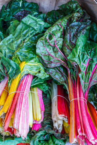 Fotografía Bunches of colorful chard for sale at a farm market