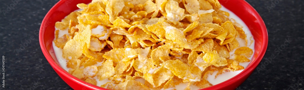 Healthy, bright start as a breakfast header - bowl of cornflakes panorama. Healthy, bright start as a breakfast header - bowl of cornflakes panorama.