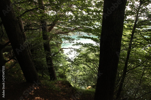 Lac Pavin - Besse-et-Saint-Anastaise - Dans les Monts Dore