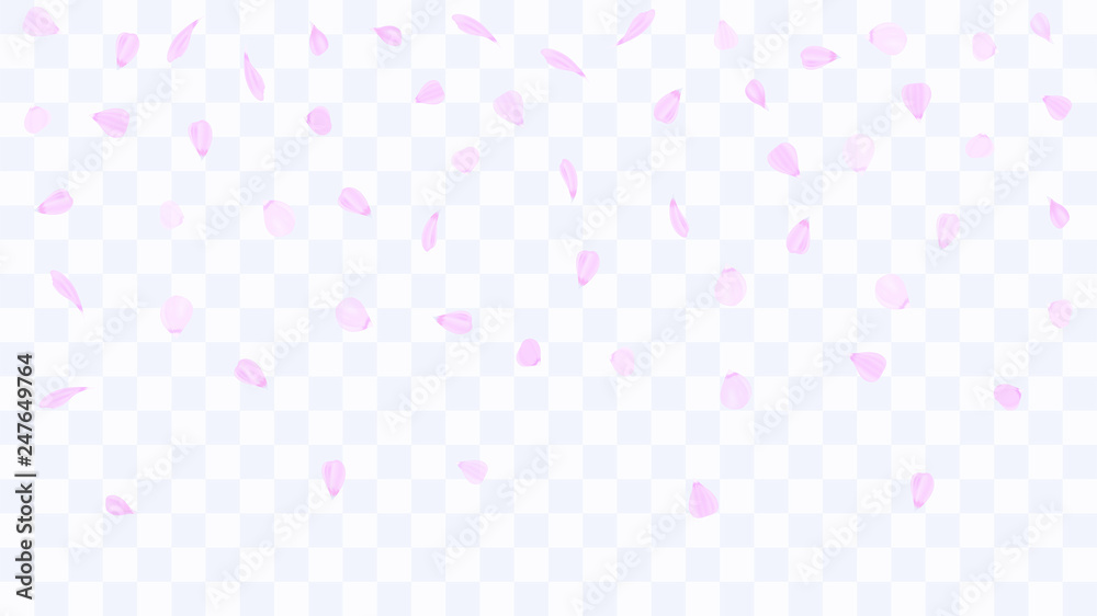 Flying rose petals. Background of flower petals. Confetti from flower petals. Pink petals of blooming cherry, sakura. Female, spring background. Greeting card design elements. Transparent background. Flying rose petals. Background of flower petals. Confetti from flower petals. Pink petals of blooming cherry, sakura. Female, spring background. Greeting card design elements. Transparent background.