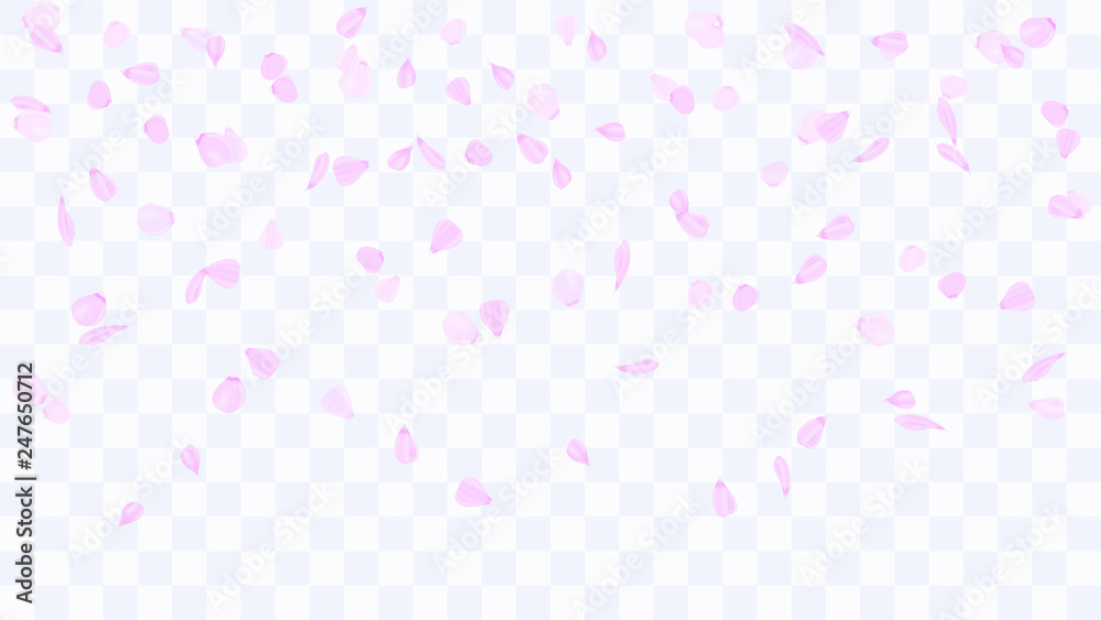 Flying rose petals. Background of flower petals. Confetti from flower petals. Pink petals of blooming cherry, sakura. Female, spring background. Greeting card design elements. Transparent background. Flying rose petals. Background of flower petals. Confetti from flower petals. Pink petals of blooming cherry, sakura. Female, spring background. Greeting card design elements. Transparent background.