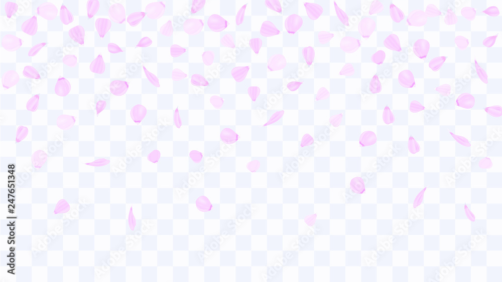 Flying rose petals. Background of flower petals. Confetti from flower petals. Pink petals of blooming cherry, sakura. Female, spring background. Greeting card design elements. Transparent background. Flying rose petals. Background of flower petals. Confetti from flower petals. Pink petals of blooming cherry, sakura. Female, spring background. Greeting card design elements. Transparent background.