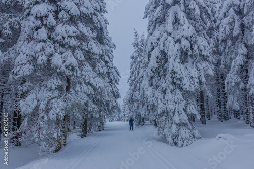 Bild auf Leinwand Unterwegs in der Winterlandschaft durch den schönen Harz