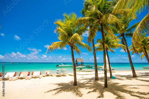 Trou aux biches, Mauritius. Tropical exotic beach with palms trees and clear blue water. photo