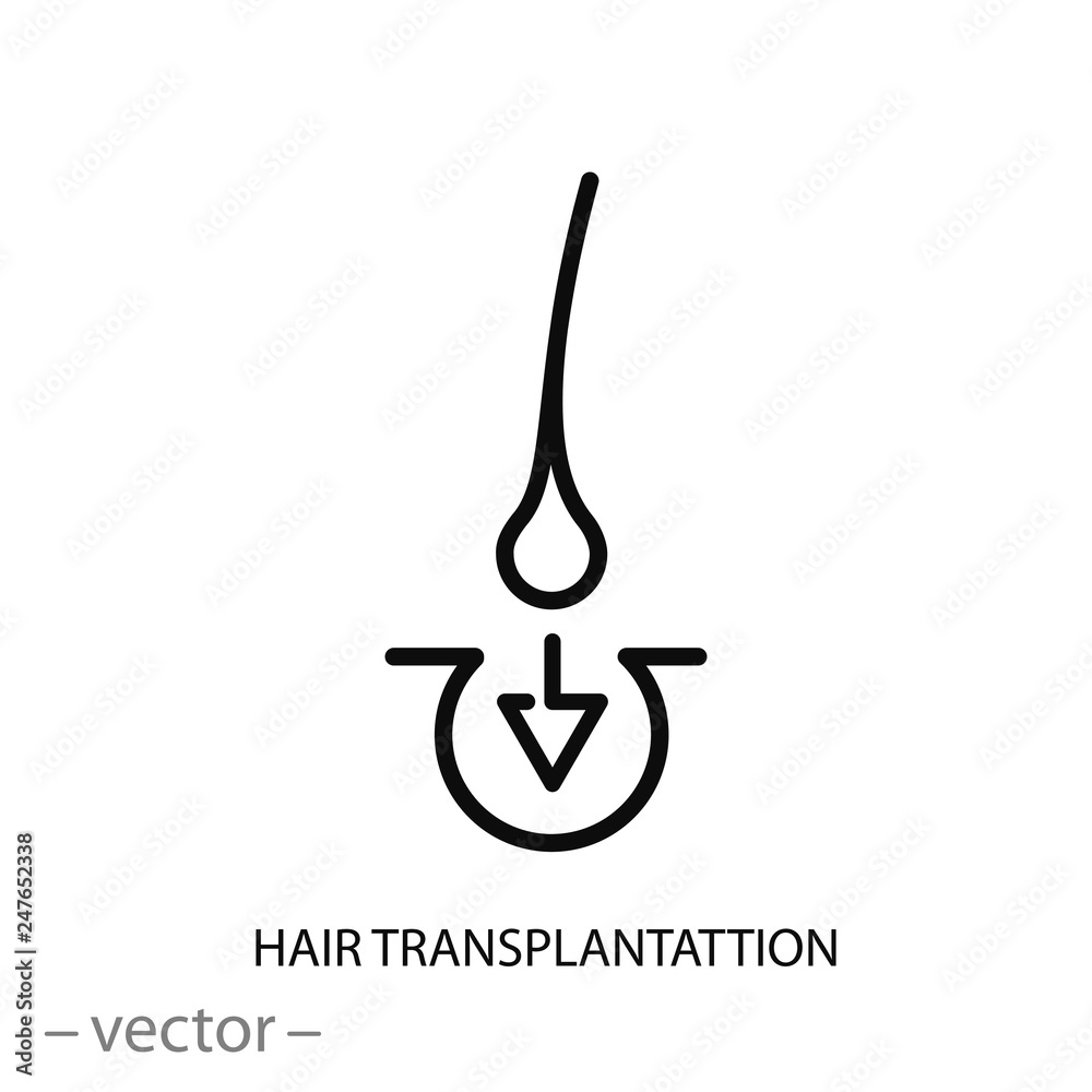 hair transplant icon, hair implant, linear sign on white background