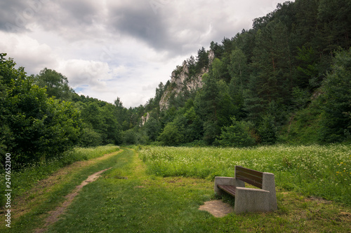 Kobylanska Valley (popular climbing place) located on the Krakowsko-Czestochowskiej upland near Kobylany, Malopolskie, Poland photo