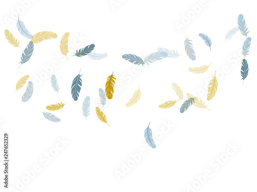 Falling feather elements soft vector design.