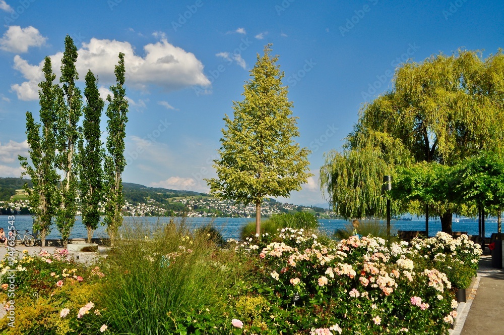 Bäume und Blumen am Seeufer von Rüschlikon am Zürichsee, Kanton Zürich, Schweiz
