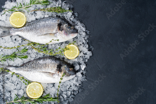 The raw Dorado fish on ice, ingredient, rosemary, lemon. Dark background, top view, space for text
