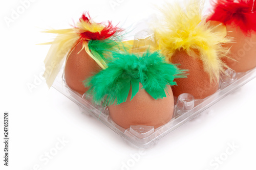 chicken eggs white background egg red green yellow feathers isoiated hair brown gag set photo