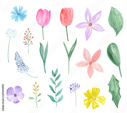 Watercolor set of spring flowers and leaves