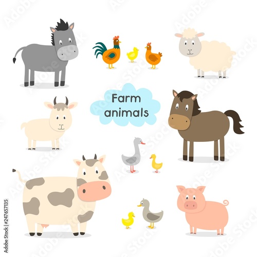 Fototapeta Naklejka Na Ścianę i Meble -  Farm animals set in flat style isolated on white background, vector illustration. Cute cartoon animals collection: sheep, goat, cow, donkey, horse, pig, cat, dog, duck, goose, chicken, hen, rooster.