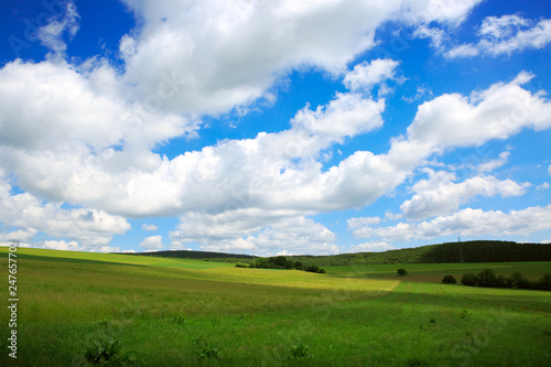 Summer landscape with trees and blue sky. Summer background.