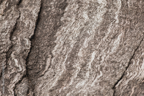 Abstract Stone Texture