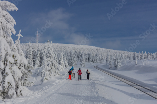 Bild auf Leinwand Unterwegs in der Winterlandschaft durch den schönen Harz