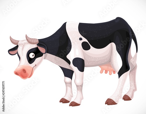 Cute cow with black spots farm animal isolated on white background