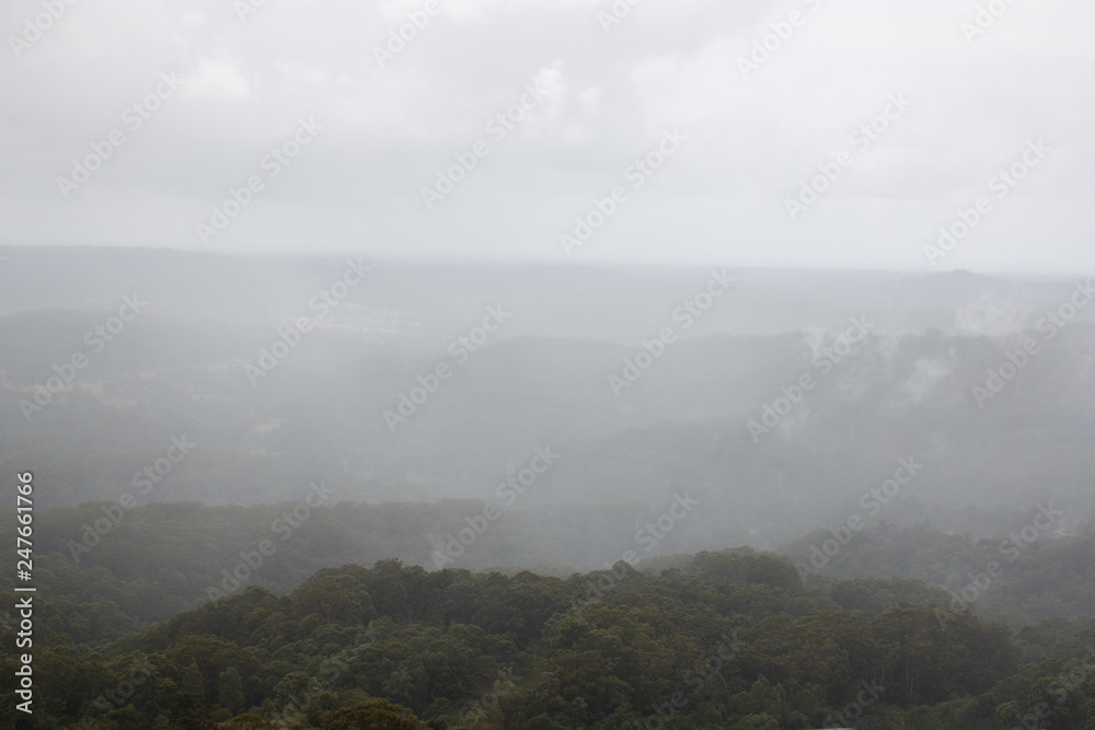 fog in the mountains