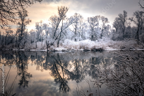 trees and lake in winter