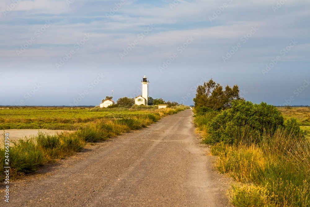 Camargue, Francia Camargue, Francia