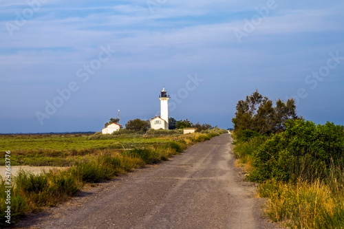 Camargue  Francia