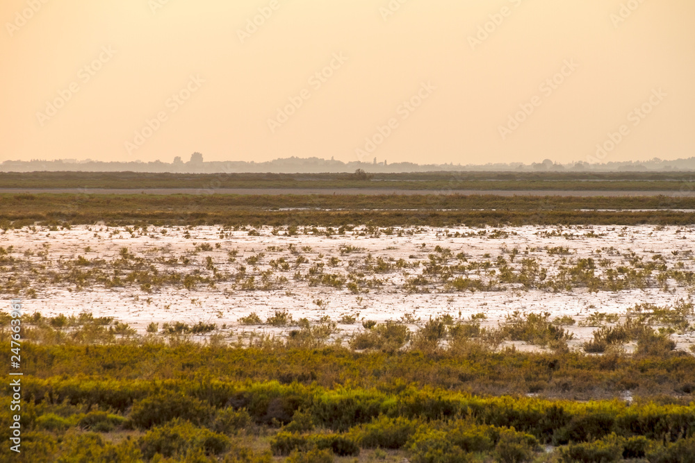 Fototapeta premium Camargue, Francia