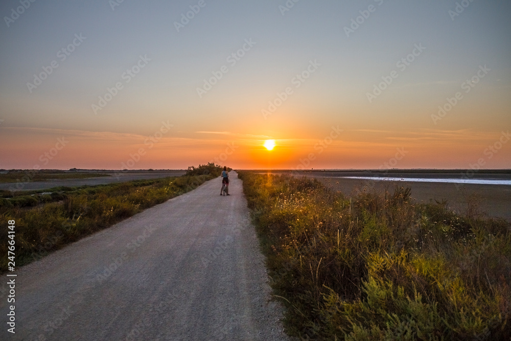 Camargue, Francia