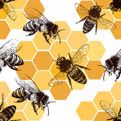 Fototapeta Naklejka Na Ścianę i Meble -  Seamless pattern of hand drawn sketch style bees and honeycombs. Vector illustration.