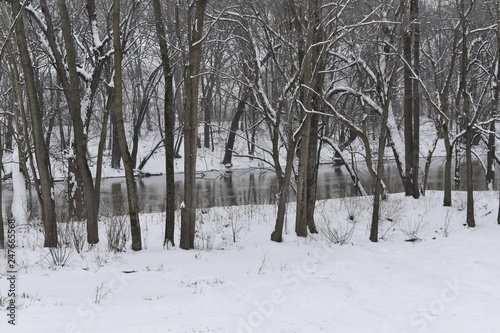 winter landscape with a river and trees