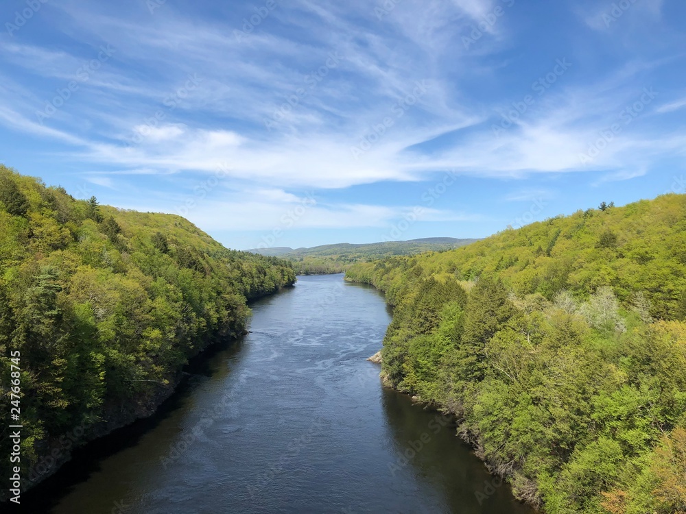 River in summer 