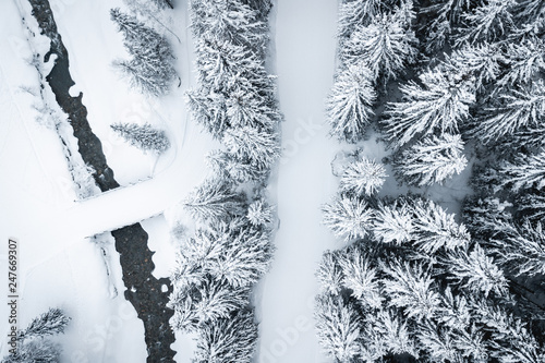 Snowy forest with drone in winter in the French Alps photo